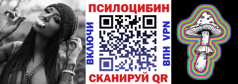 наркота  Прохладный  ссылка на мегу как зайти  Галлюциногенные грибы Psilocybe 
